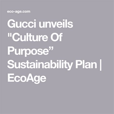 gucci 10-year sustainability plan|Gucci sustainability impact report.